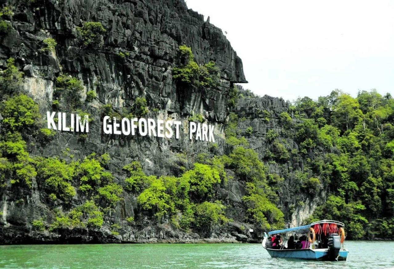 Jelajahi Pesona Hutan Bakau Langkawi dengan Mangrove Tour